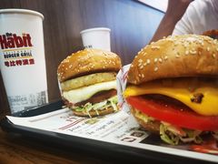 -The Habit Burger Grill 哈比特汉堡(世博店)