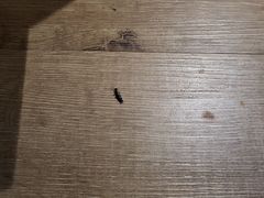 -晨枫酒店(苏州观前步行街店)