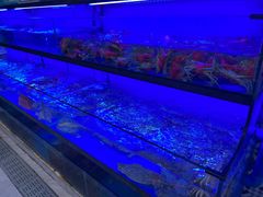 -阿南海鲜