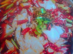 android_upload_pic-乡土特色.冷锅鱼.牦牛肉汤锅