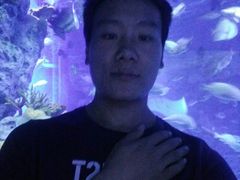 -临沂极地海洋王国