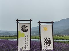 -腾冲北海湿地