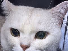 -美联众合动物医院·24h转诊中心