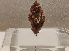 -杭州工艺美术博物馆