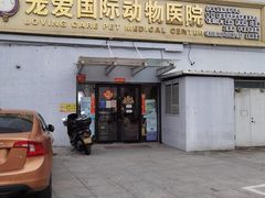 -宠爱国际动物医院·疑难骨科·心肾内科·皮肤科(太阳宫店)