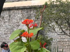 -陈家祠堂-游客中心