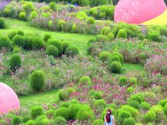 -空港花田景区
