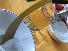 海带-濠轩阁特色生蚝火锅(水湾路店)
