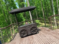 -黄海国家森林公园