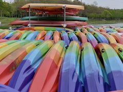 -上海海湾国家森林公园