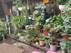 -龙姐私房菜(和顺古镇店)