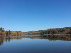 景点-五营红松林海景区