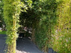 -虹之森·小馆