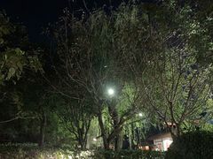 -思念果岭悦温泉