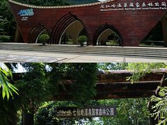 -七仙岭温泉国家森林公园