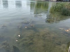 -美兰湖景区