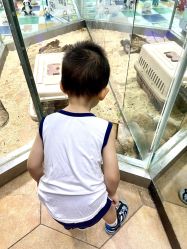 -未来动物城主题公园(正弘城店)
