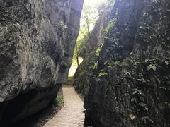 -山王坪喀斯特国家生态公园