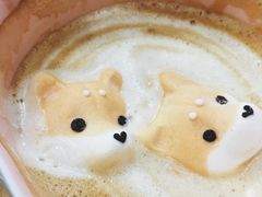 -逗柴咖啡屋·狗咖猫咖宠物桌游