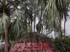 -中澳友谊花园