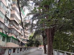 -番禺广场(市桥街道)