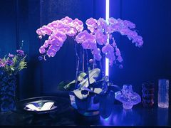 -逸馥荟(人广来福士店)
