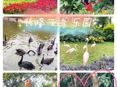 -广州长隆野生动物世界