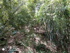 -东部华侨城