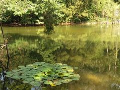 -畔山酒店中餐厅