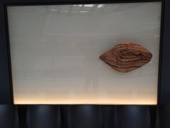 -大头椰·海南椰子鸡火锅(思明万象城店)