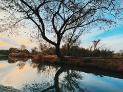 -西溪国家湿地公园