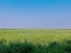 -野鸭湖国家湿地公园