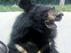 -西安秦岭野生动物园