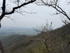 -紫金山山顶公园