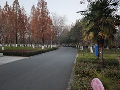 -白塘生态植物园