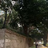 这个海景直接看着对面鼓浪屿，景观很赞但可惜我没升级