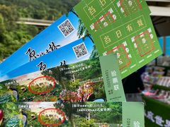 -西双版纳原始森林公园
