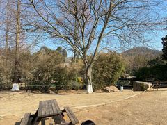 -白马涧龙池景区