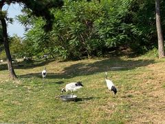 -沈阳森林动物园