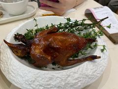 脆皮乳鸽-蔡澜点心·粤菜(月星环球港店)