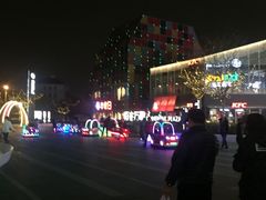 -恒生万鹂广场(唐镇店)
