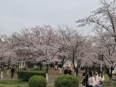 -知味观(翡翠城店)