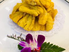 -高老庄新家宴(北斗星广场店)