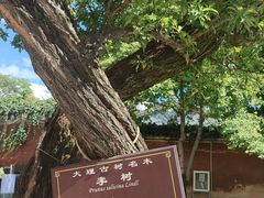 -大理古城