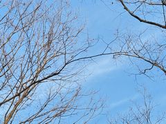 -泰康之家·申园