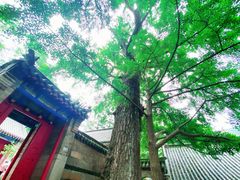 -青岛崂山太清宫