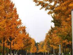 -世园罗曼小镇