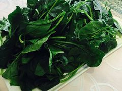 -随园花园餐厅(新港中路店)