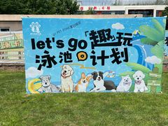 -趣玩宠物乐园寄养训犬训狗游泳池