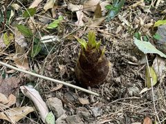 -宁波五龙潭景区